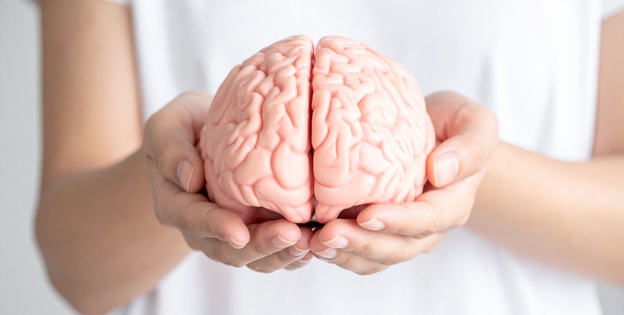 Næringsmanglen, der kan påvirke hjernen allerede hos unge voksne