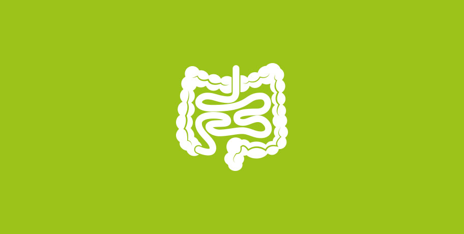 Glutamin – tarmens bedste ven Glutamin – tarmens bedste ven